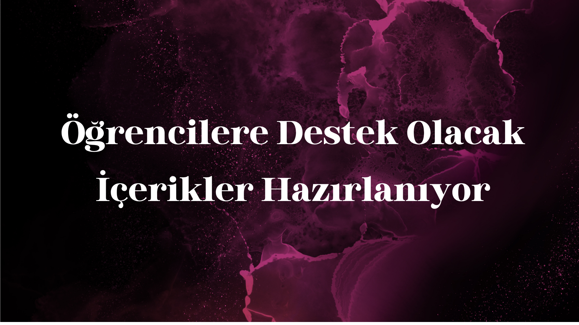 Görsel 3